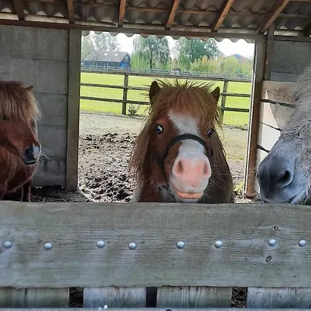 Hébergement de vacances Vakantieboerderij Aardenhof Sevenum