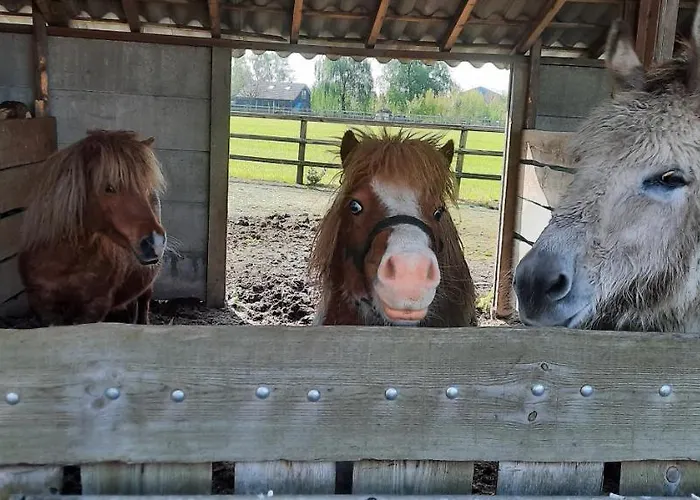 بيت للعطل Vakantieboerderij Aardenhof سيفينُمْ